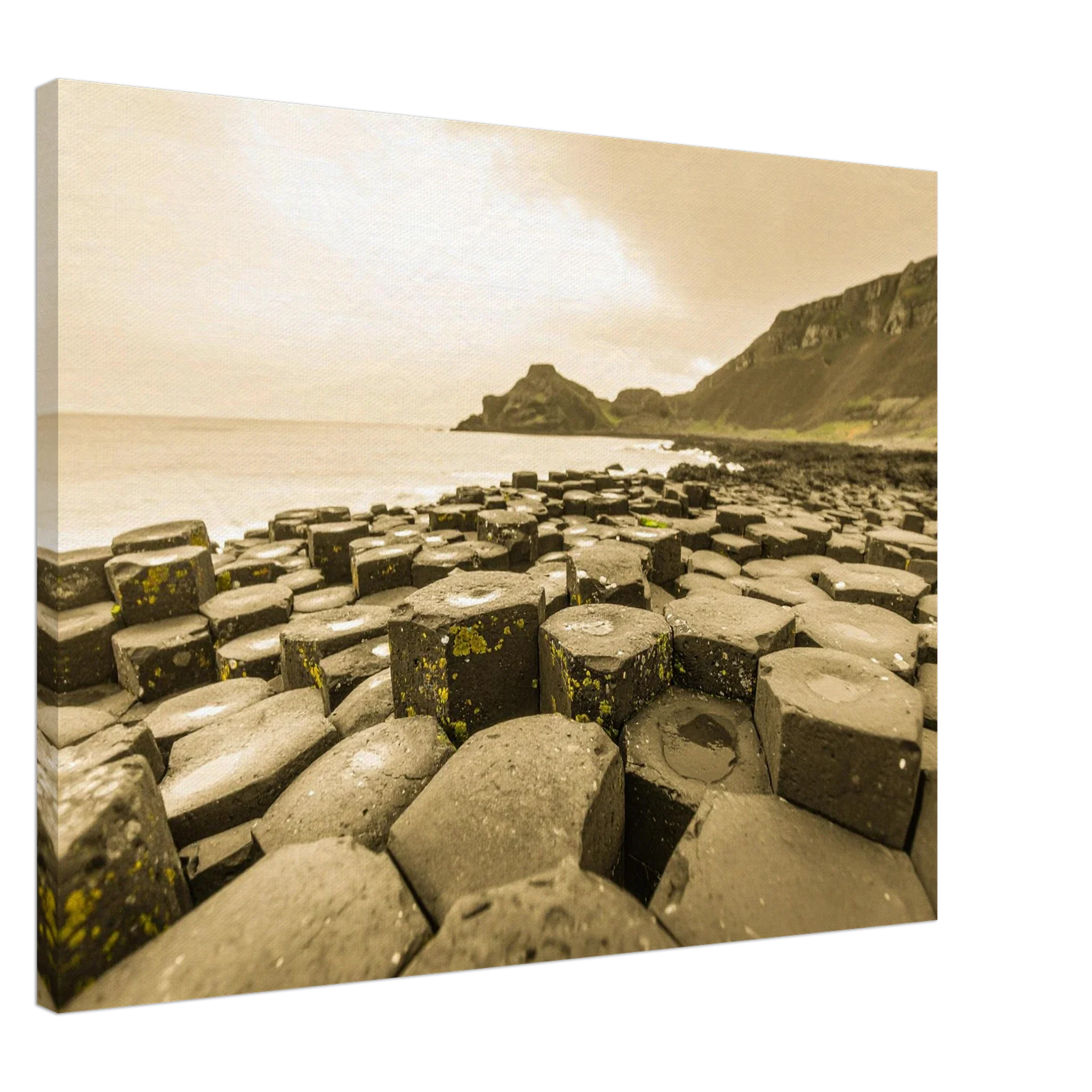 Colour - Sepia