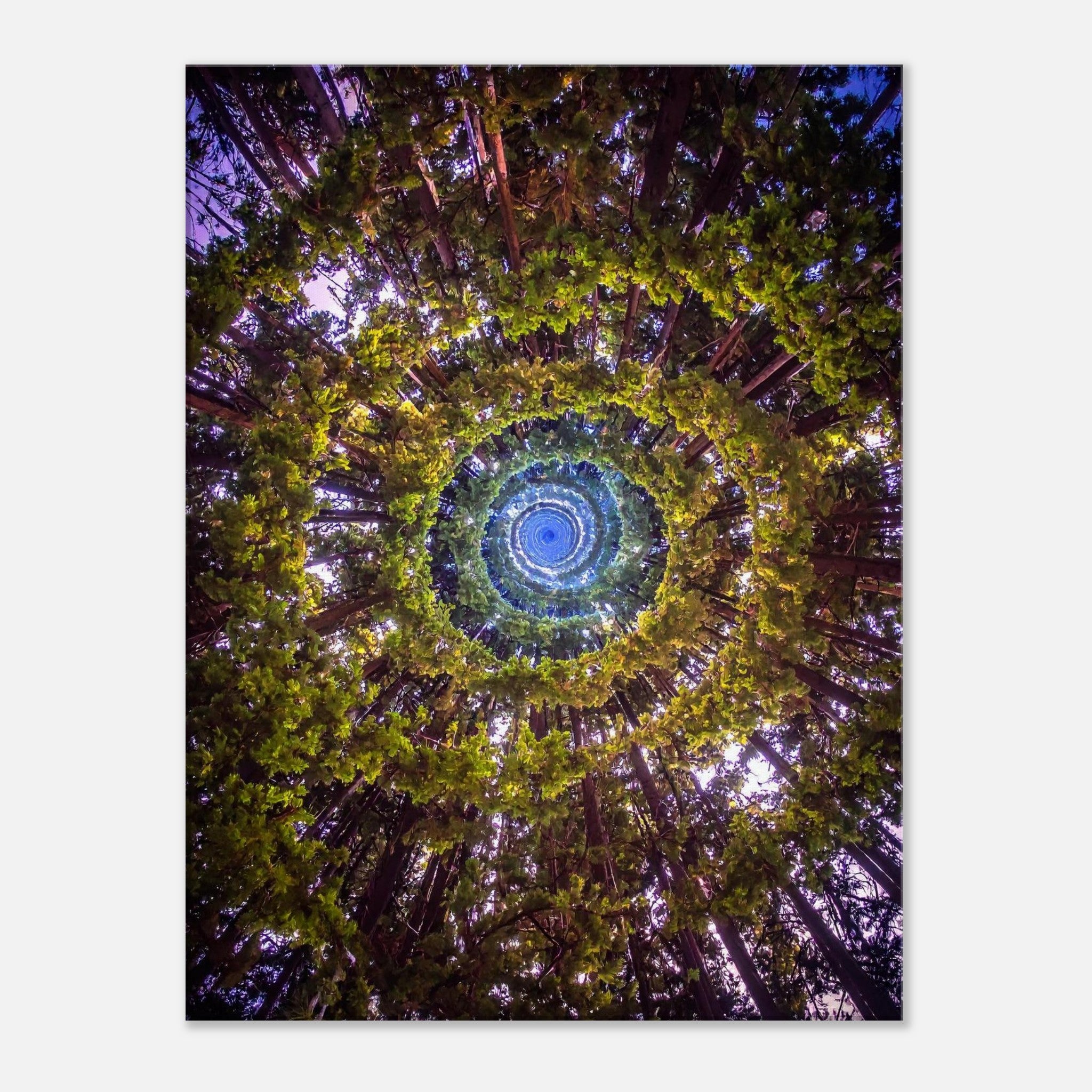 6957bb06-a691-459b-b569-a5c2aab8e4c7